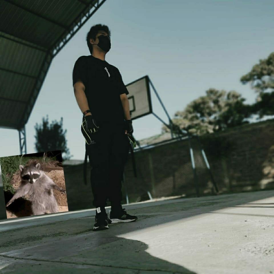 Ing. Brandy Reque Coca